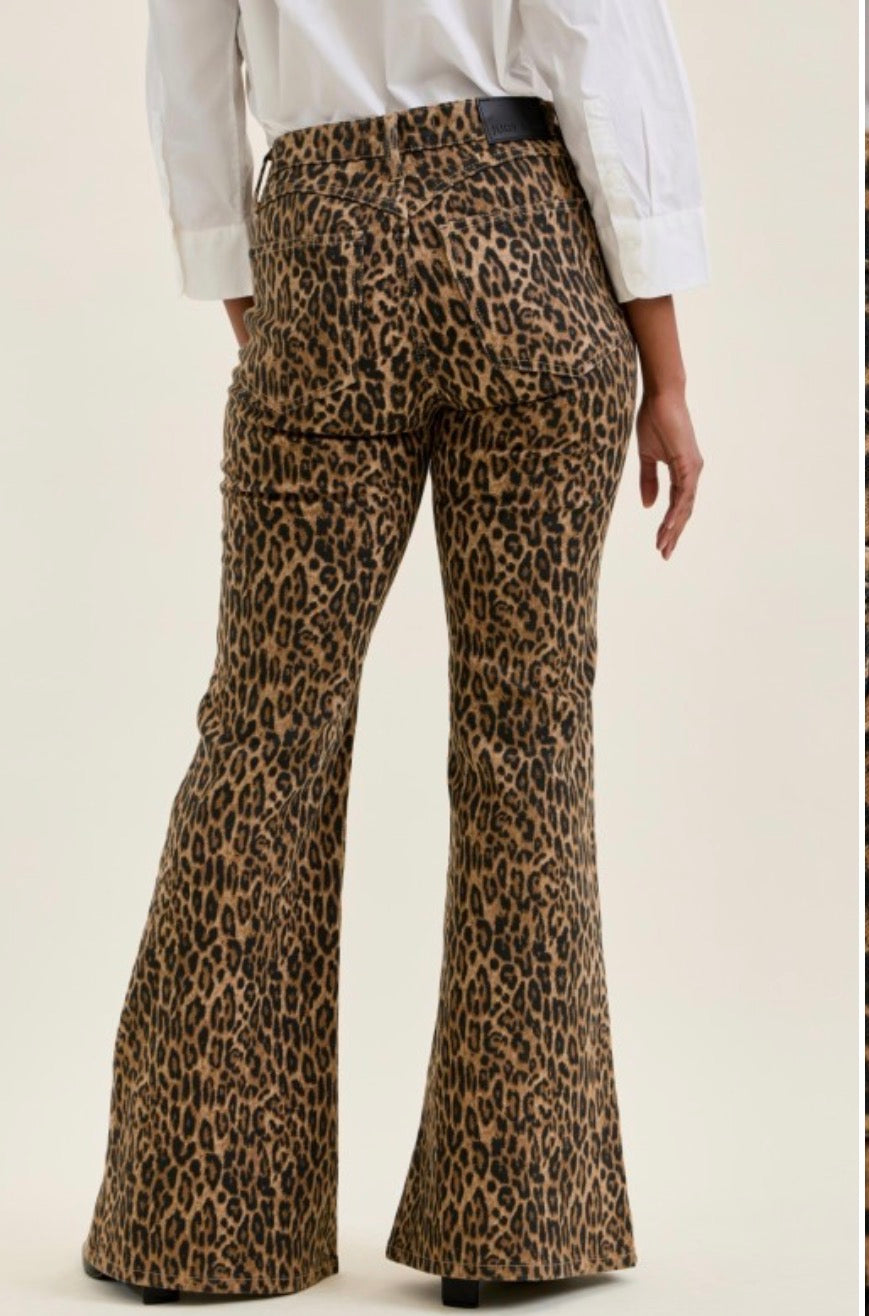 Judy blue midrise Jacqueline flair leopard Jean