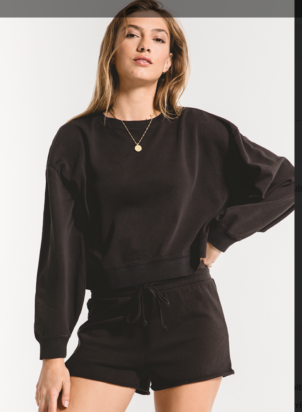 Z SUPPLY THE COTTON FRENCH TERRY P/O