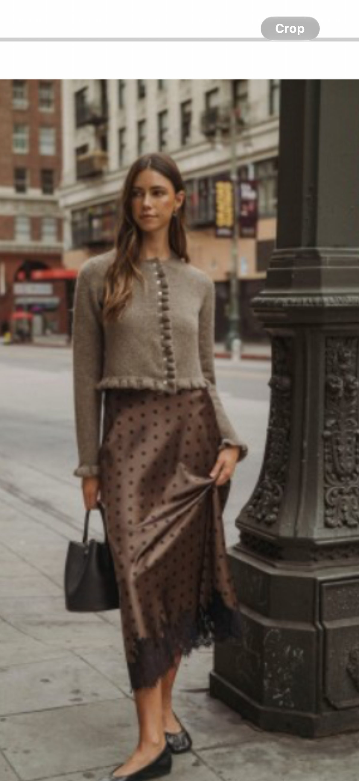 Polkadot lace trim, brown satin skirt