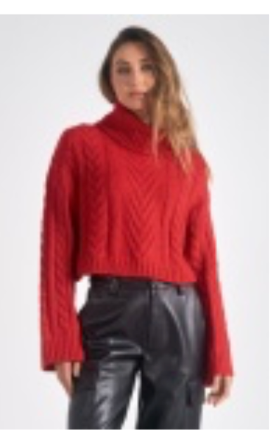 ELAN RED TURTLENECK CROPPED