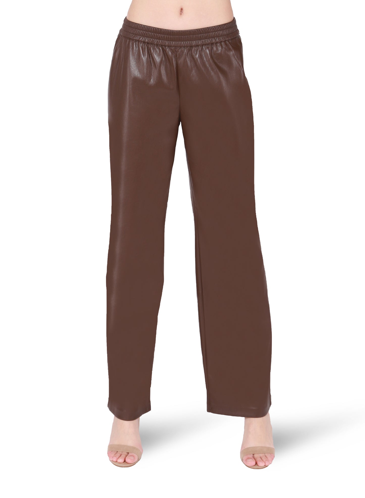 DEX F23 PULL ON FAUX LEATHER WIDE LEG PANTS