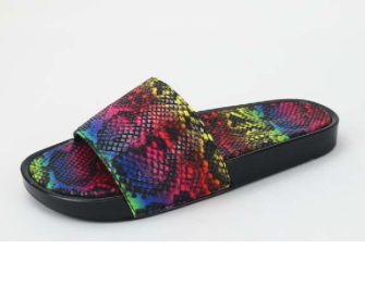 MULTI COLOR SNAKE SLIDES