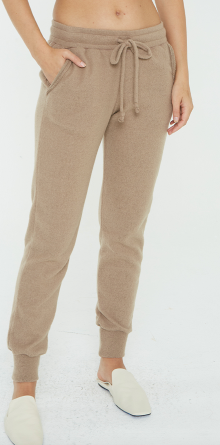 PROJECT SOCIAL T EASTON COZY PANT IN HICKORY