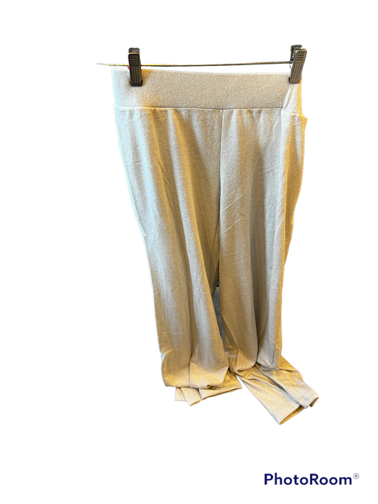 ELAN F22 SILVER PANT